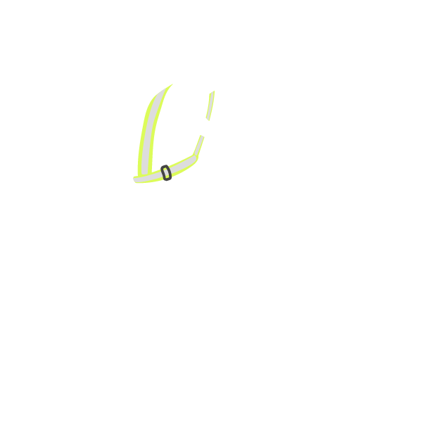 chaleco